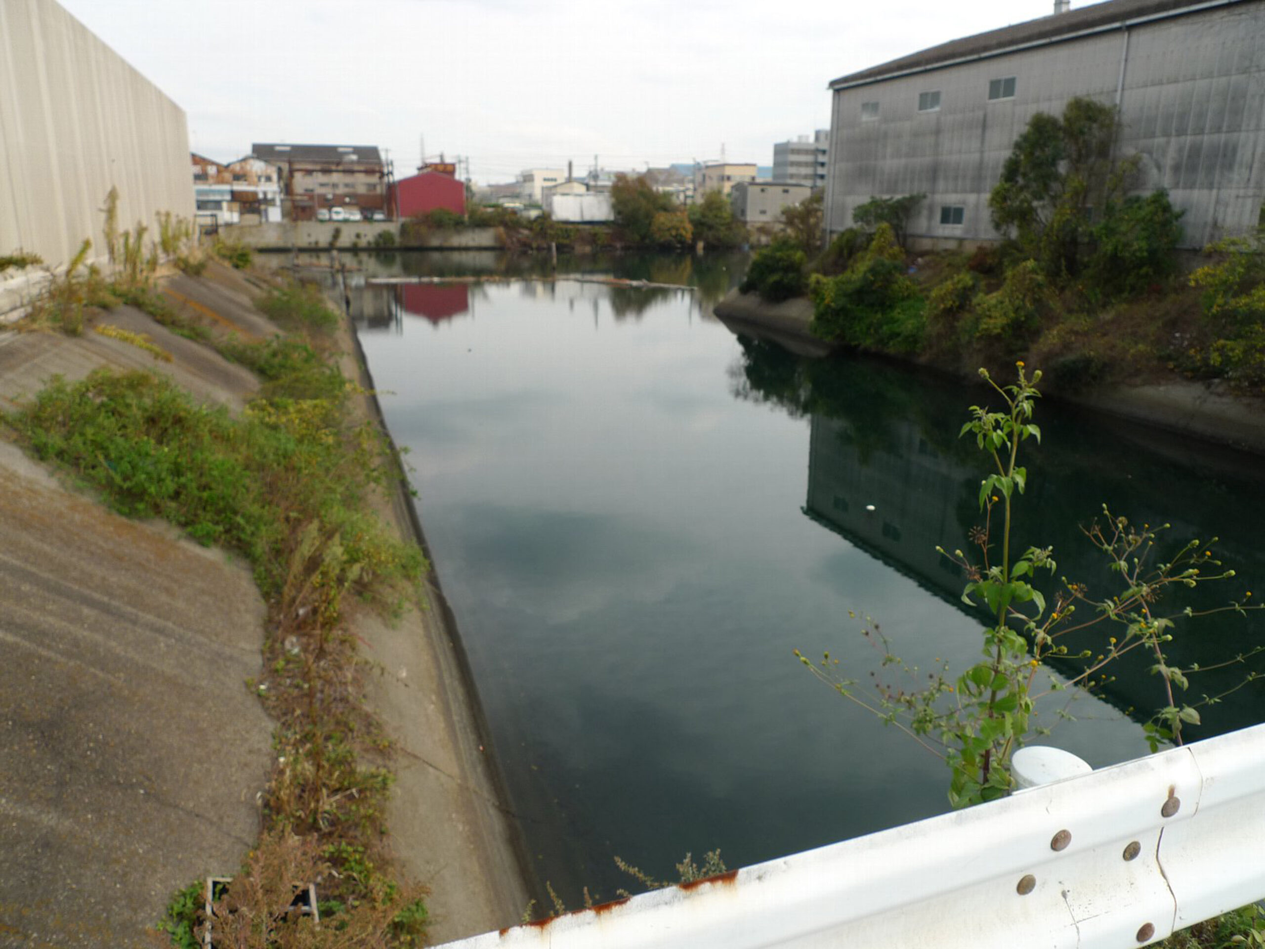 平林四号池東地区土地区画整理事業　公共施設工事竣工
